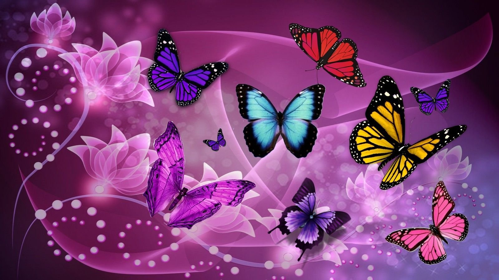 Красивые картины на телефон. Яркие бабочки. Фон бабочки. Заставка на рабочий стол бабочки. Разноцветные бабочки.