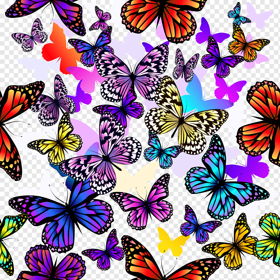 Фон бабочки