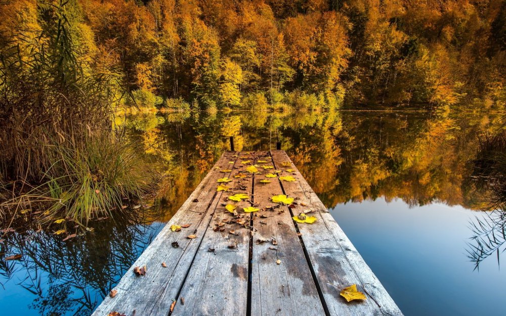 Осень на озере мосток