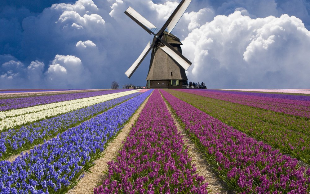 Ветряная мельница Голландия