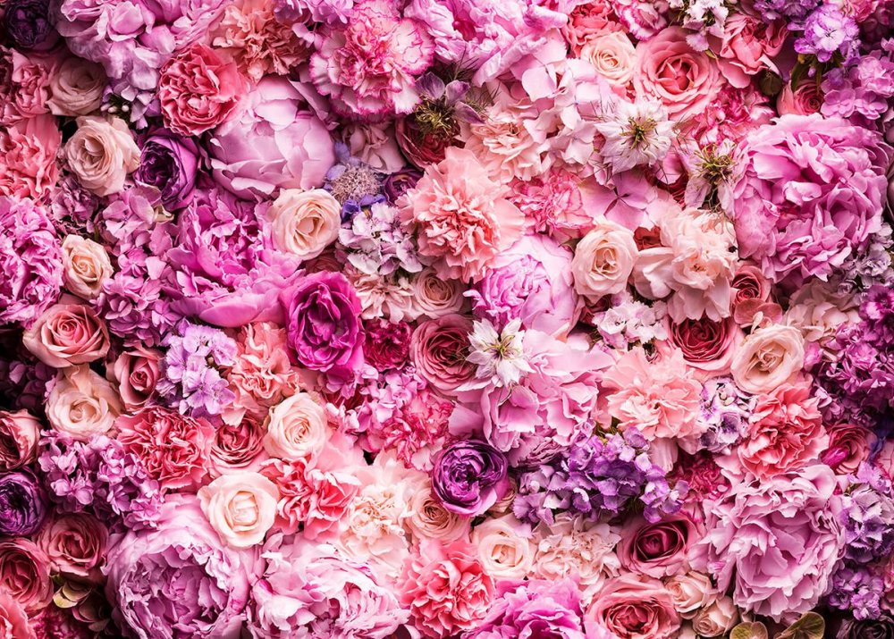 Цветы в розовых тонах