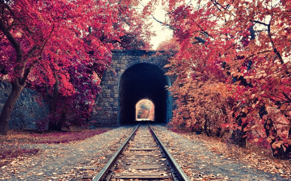 Осень тоннель