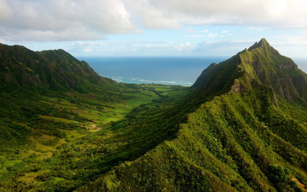 Остров Оаху Гавайи остаться в живых