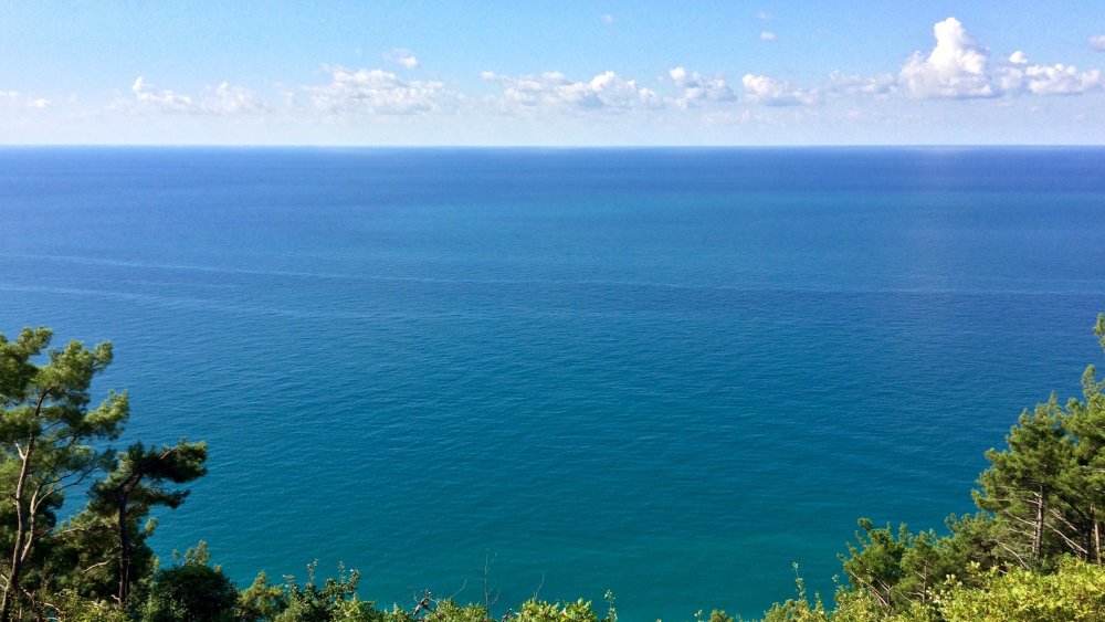 Черное море вид с горы