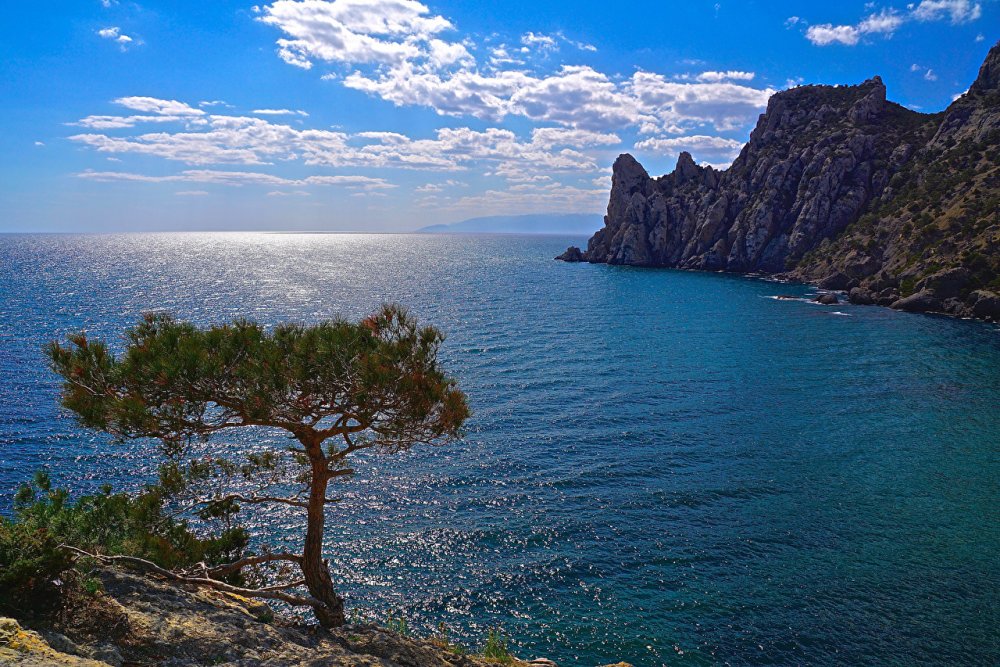 Черное море Крым Ялта