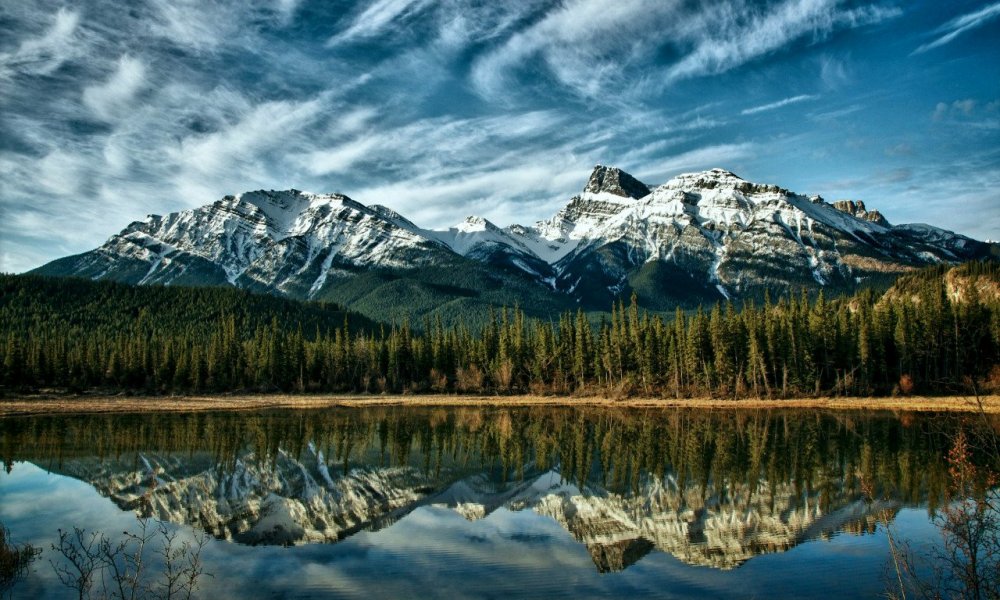 Лес горы озеро Канада