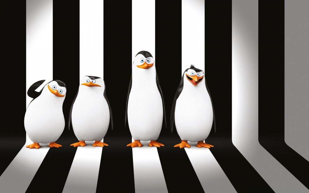 Пингвины Мадагаскара мультфильм