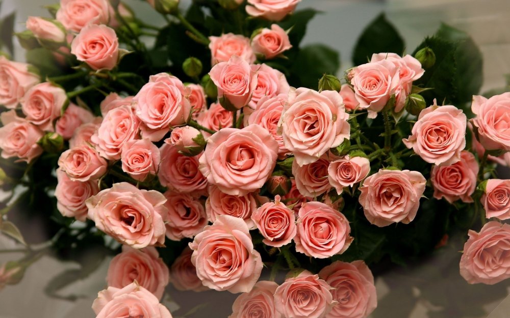 Нежно розовые розы букет