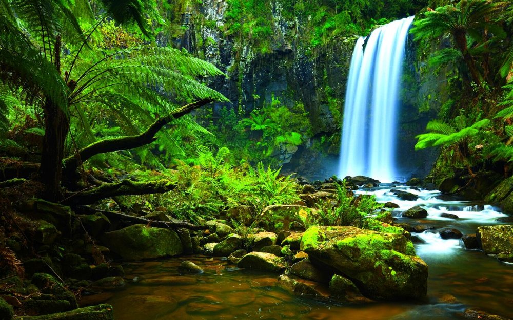 Амазонские джунгли тропический водопад