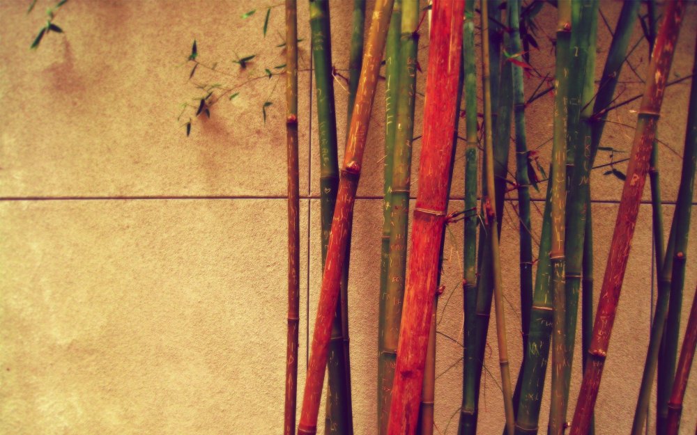 Разноцветный бамбук