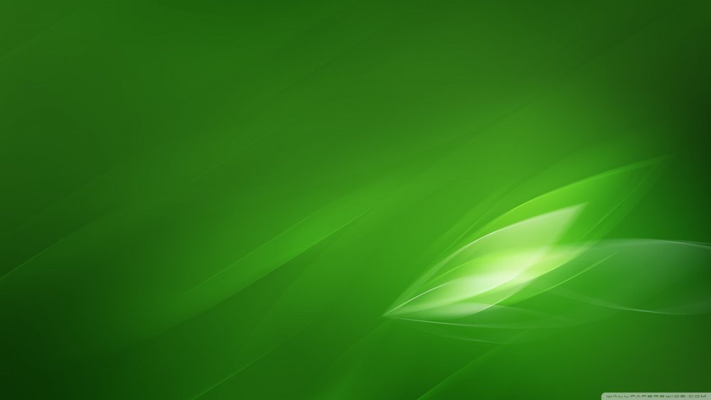 Зеленый фон с орнаментом