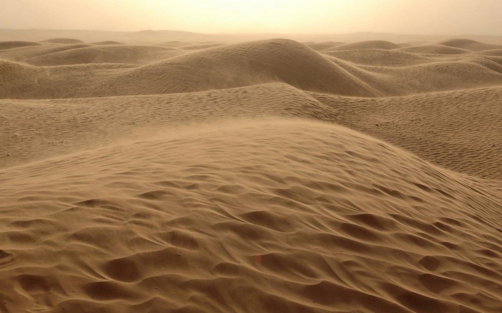 Куйтунские песчаные дюны