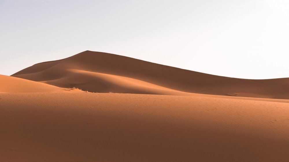 БЬЕРКСТА песчаные дюны
