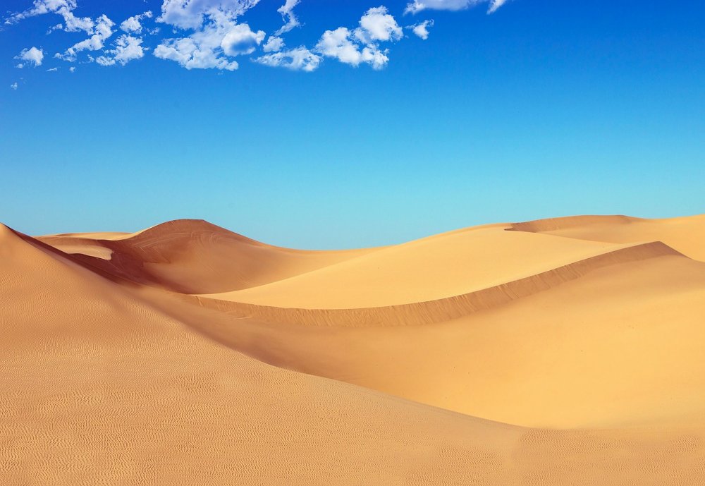 Песчаные дюны вектор