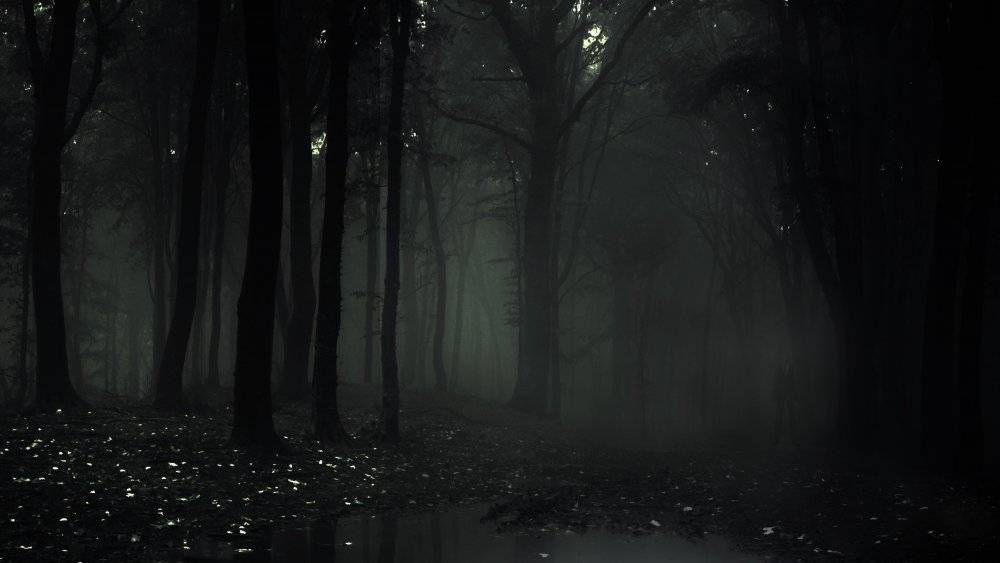 Темный мрачный лес