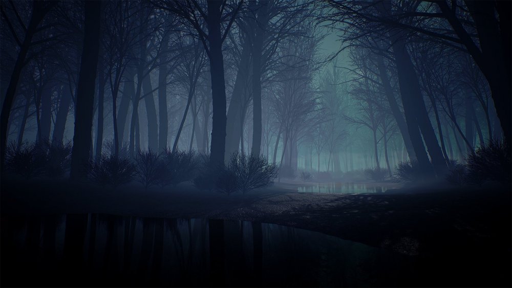 Тёмный туманный лес аниме
