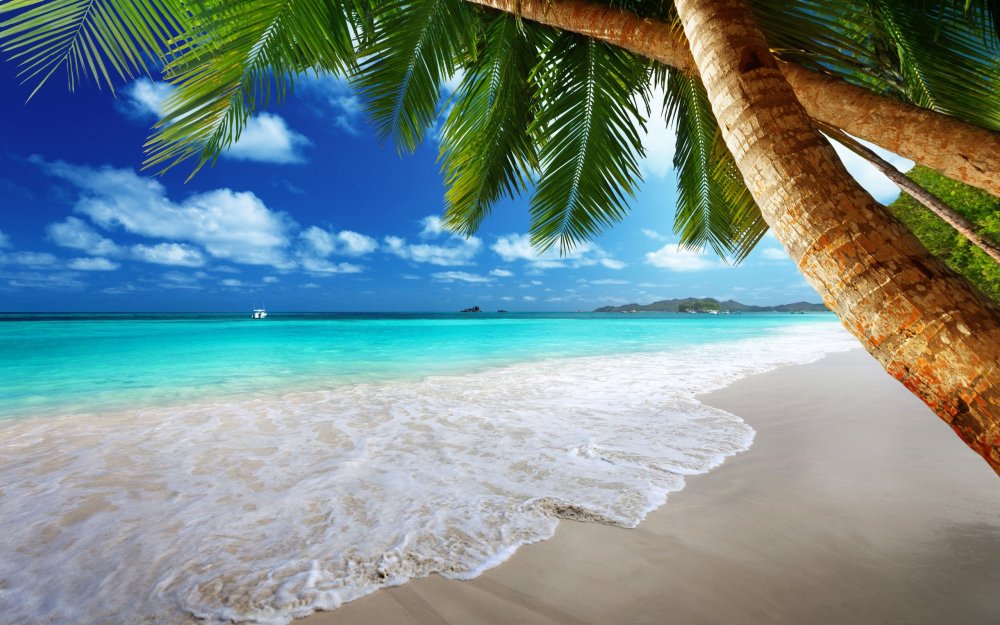 Заставка на рабочий стол море пляж пальмы