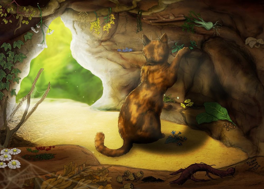 Коты Воители пещера целителя