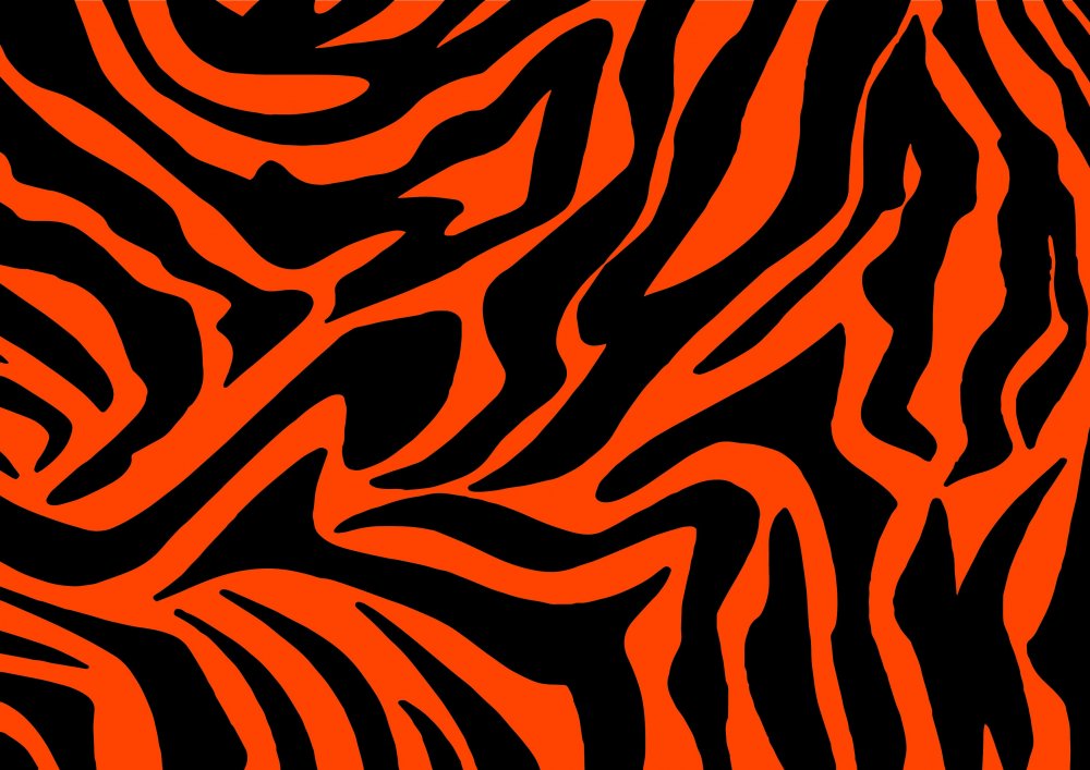 Расцветка тигра