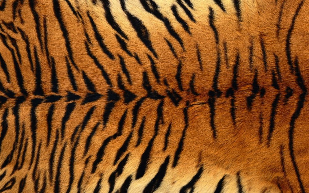 Тигровые фоны