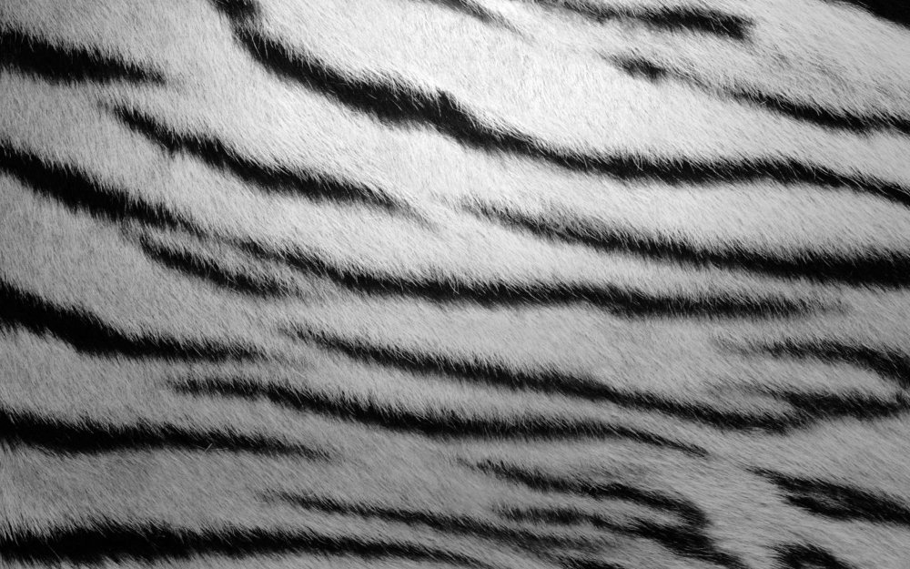 Тигриная шерсть