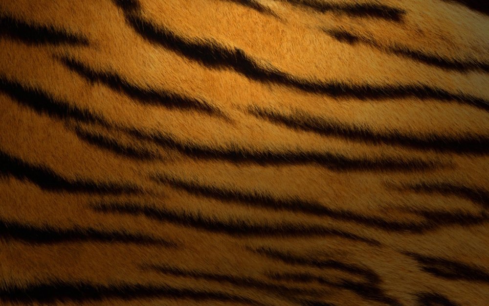 Тигр шкура