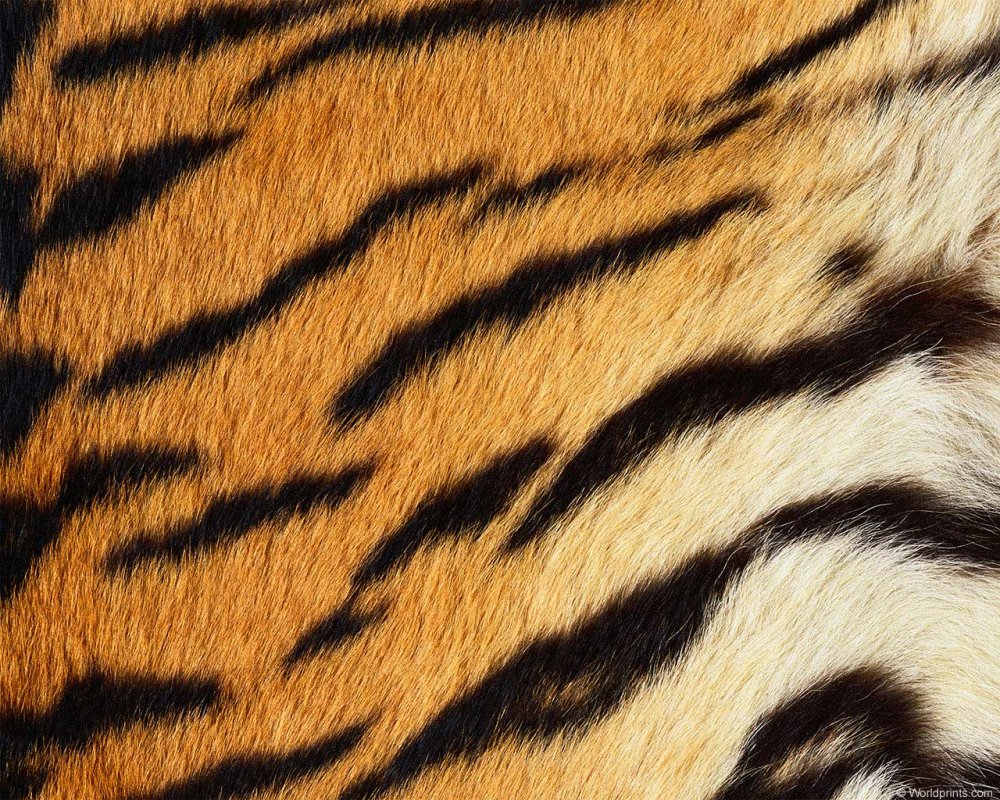 Тигровый цвет