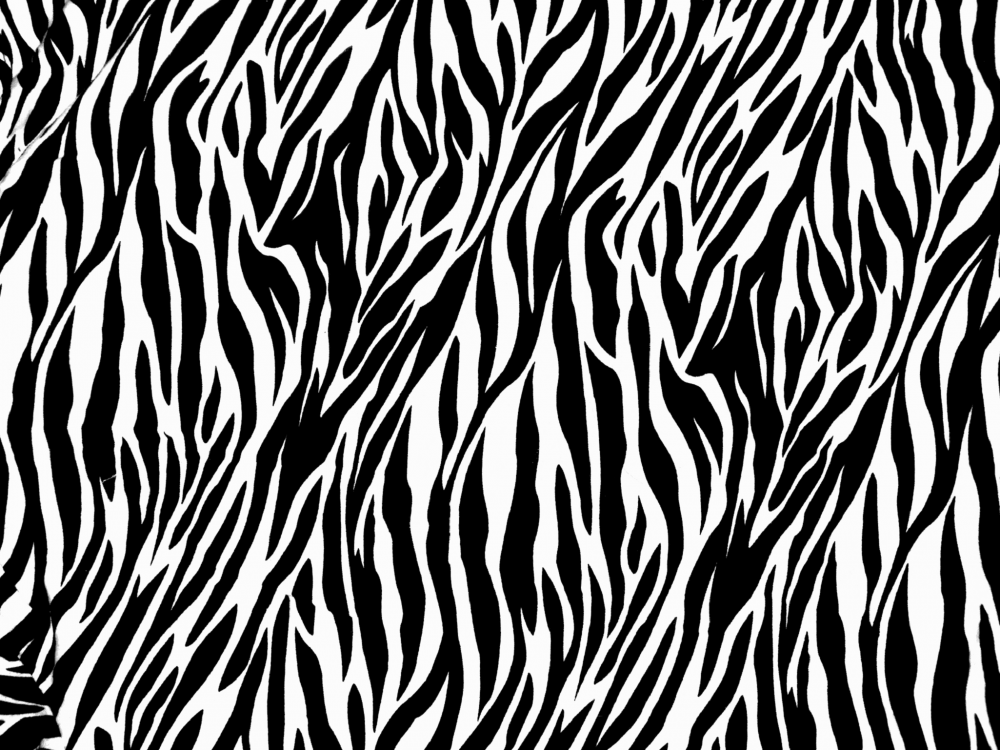 Коврик Ridder Zebra 711300 90х60 черно-белый
