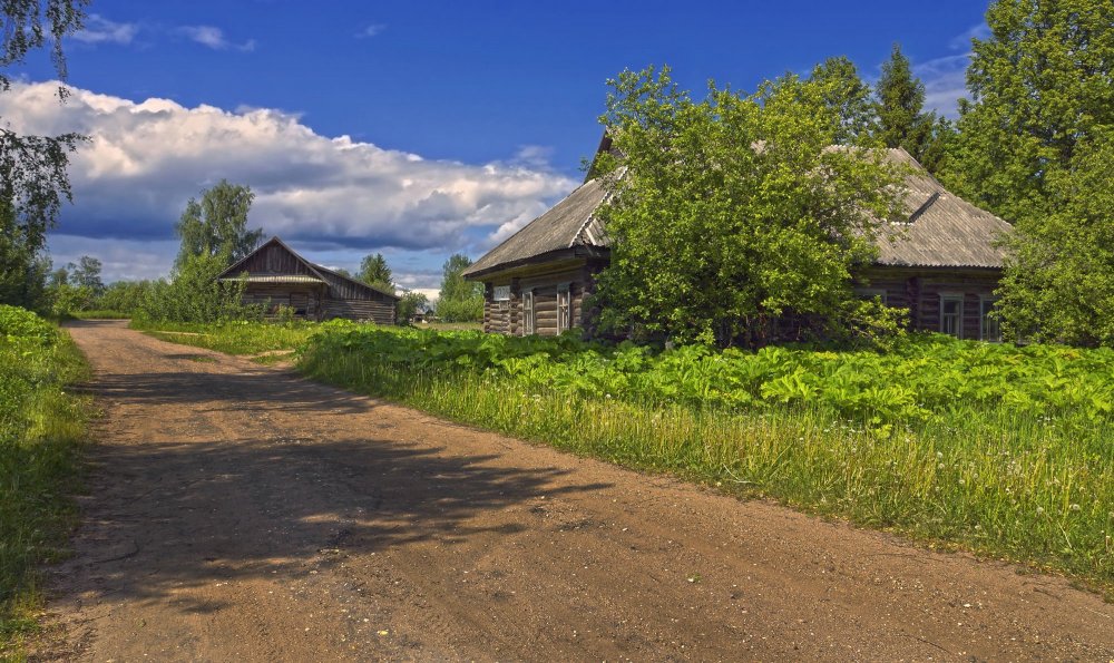 Деревня деревенька Тверская область