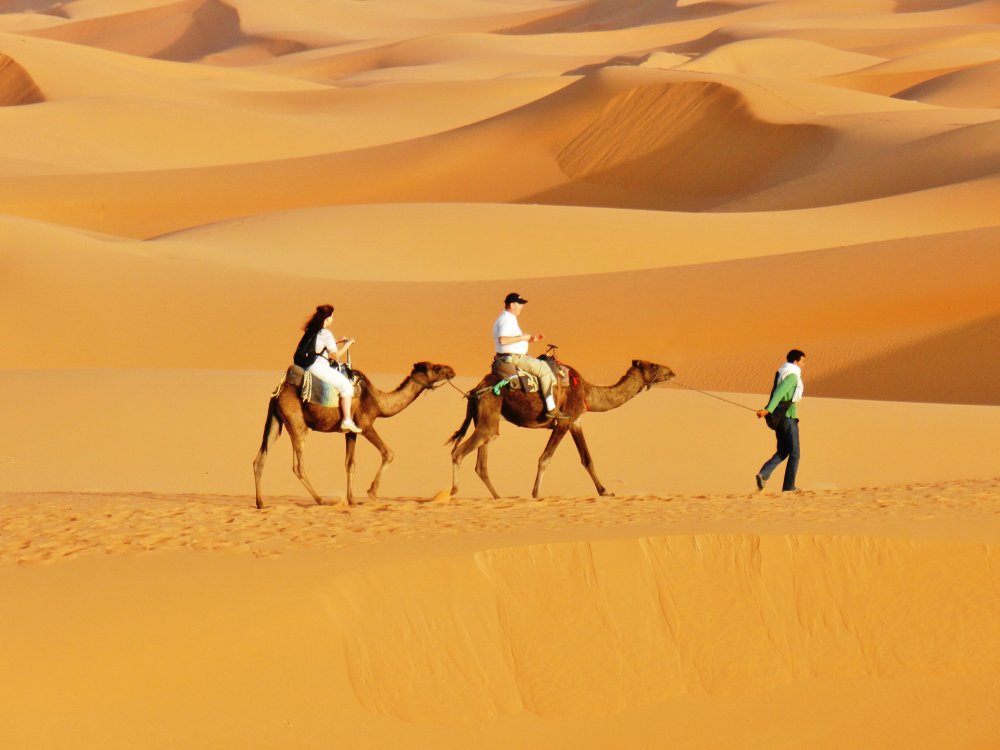 Марокко дюны Верблюды