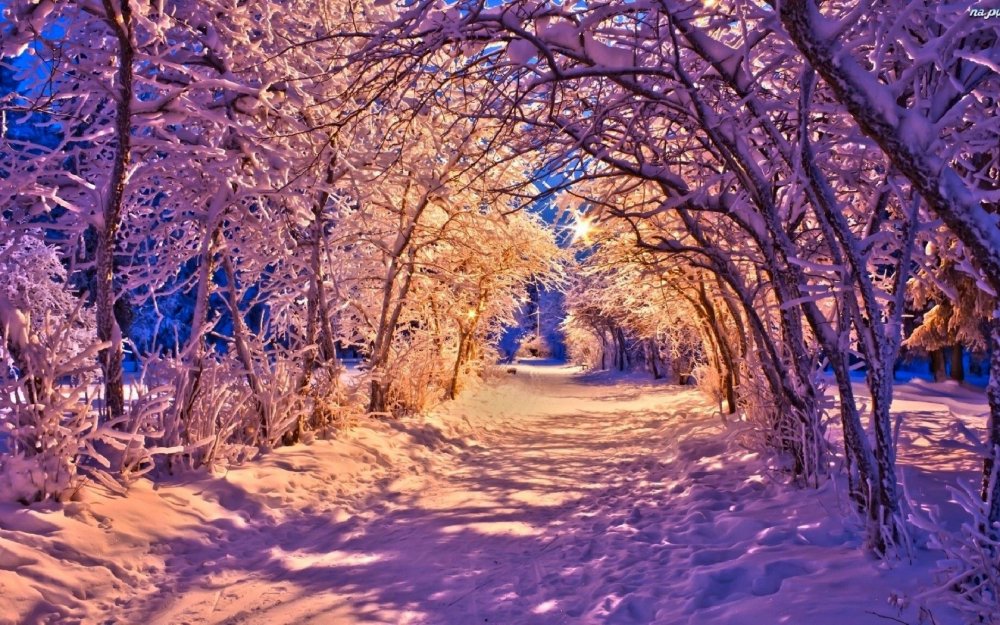 Красивая зима