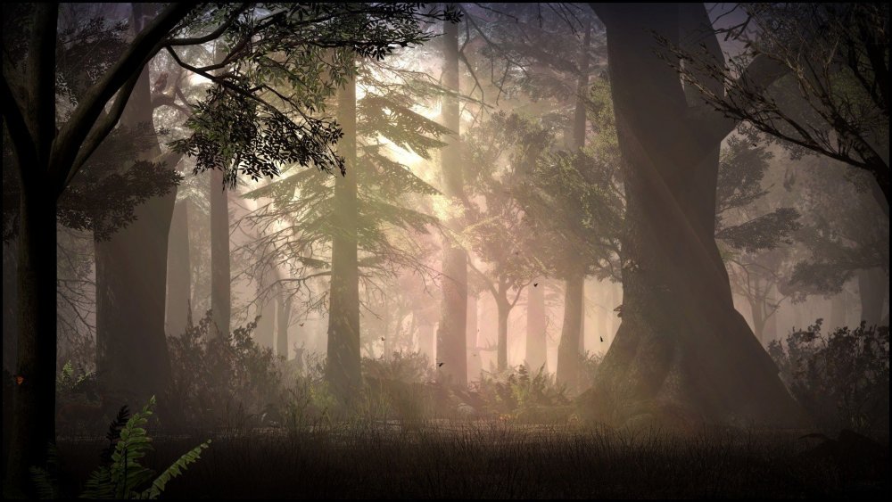 Лес в тумане арт
