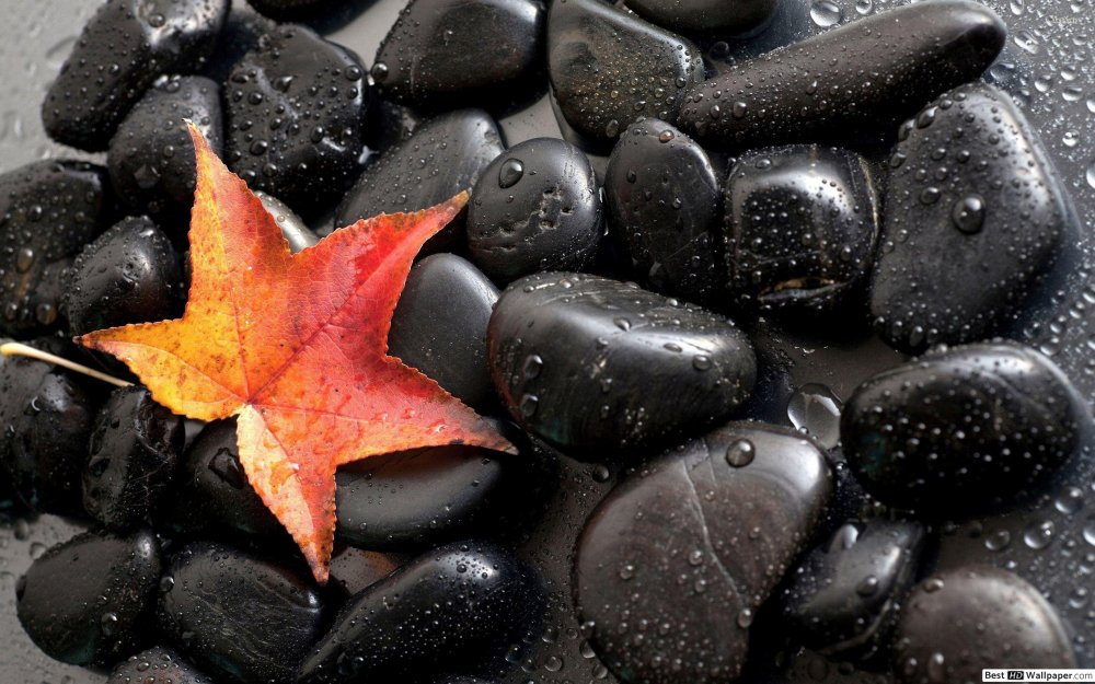Красивые черные камни