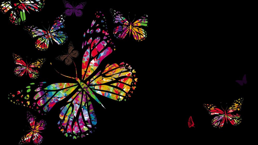 Черные фоны с яркими бабочками