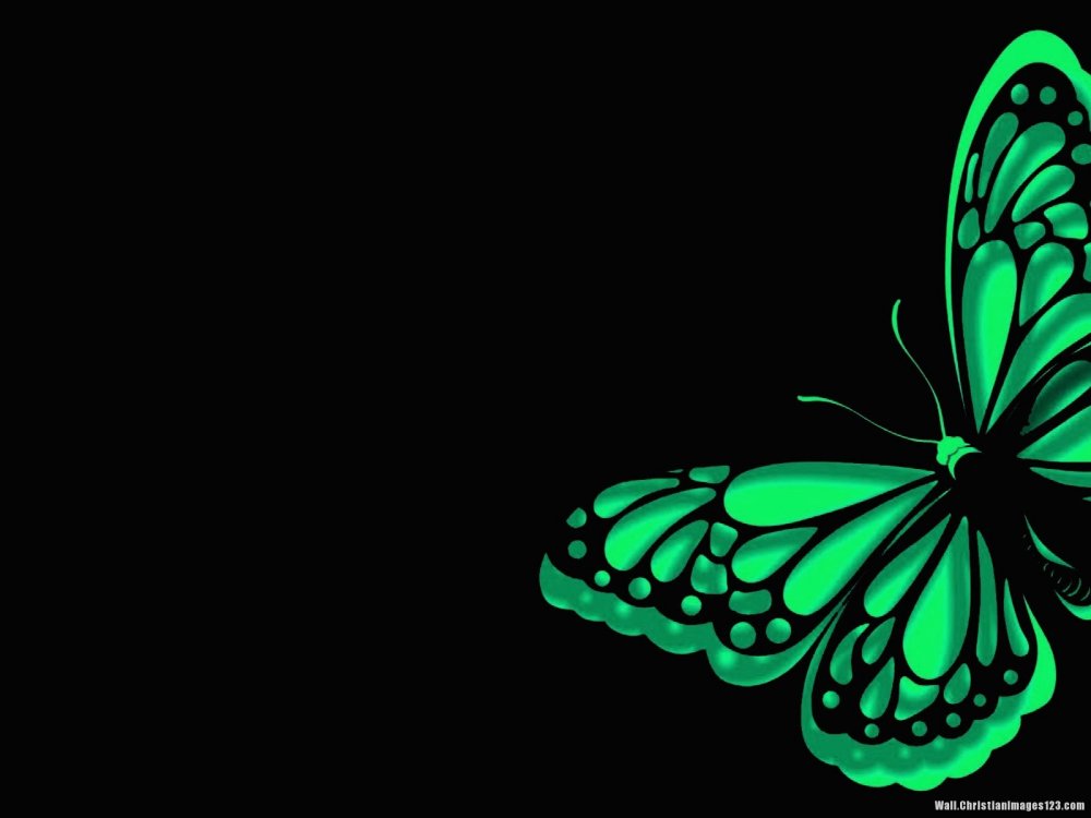 Абстракция бабочки на темном фоне