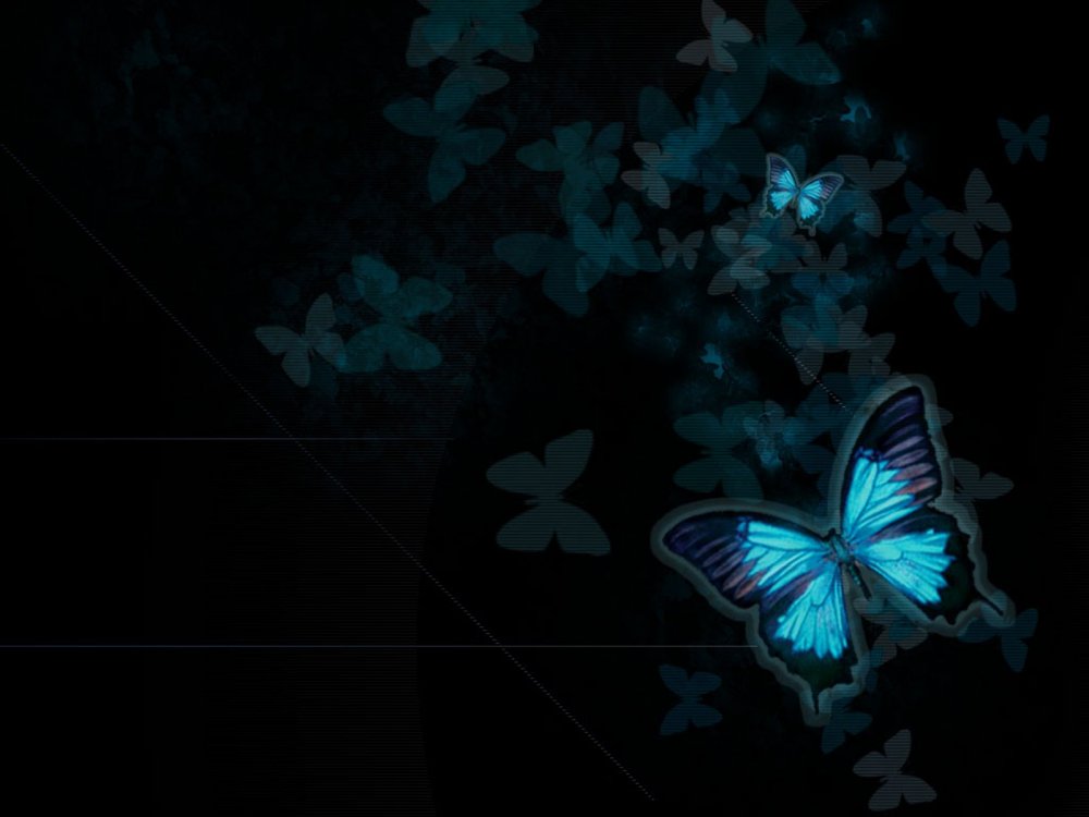 Бабочки на темном фоне