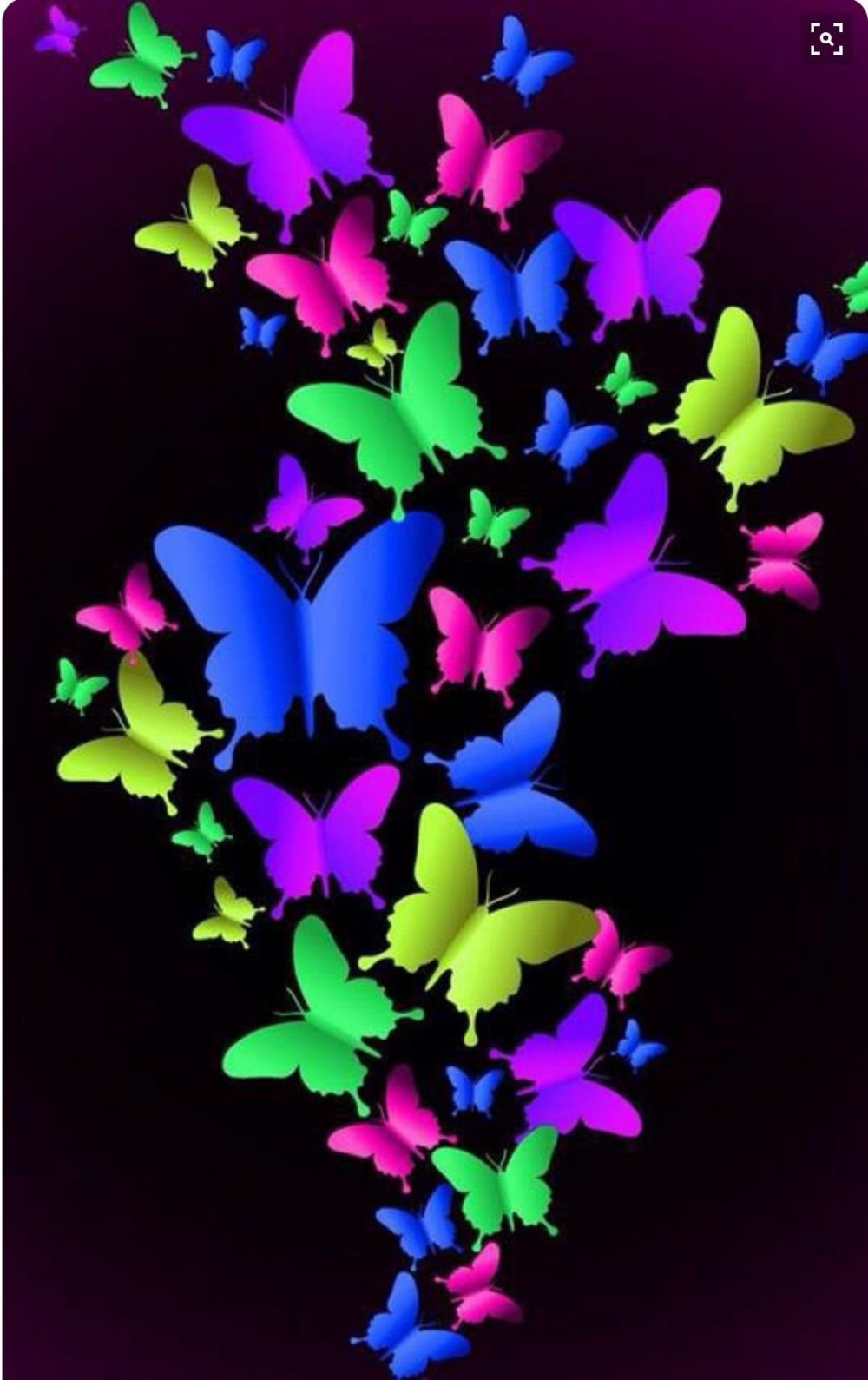 Неоновый бабочки и цветы