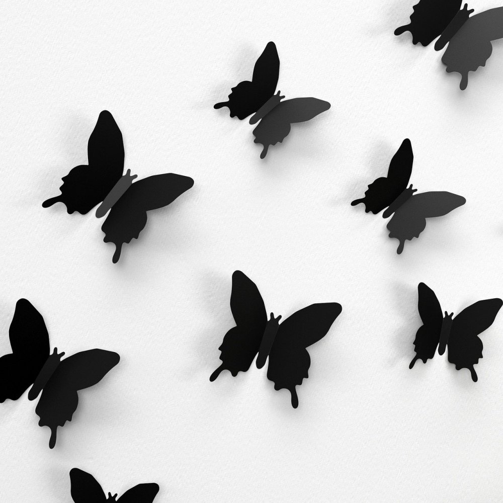 Красивые черные бабочки