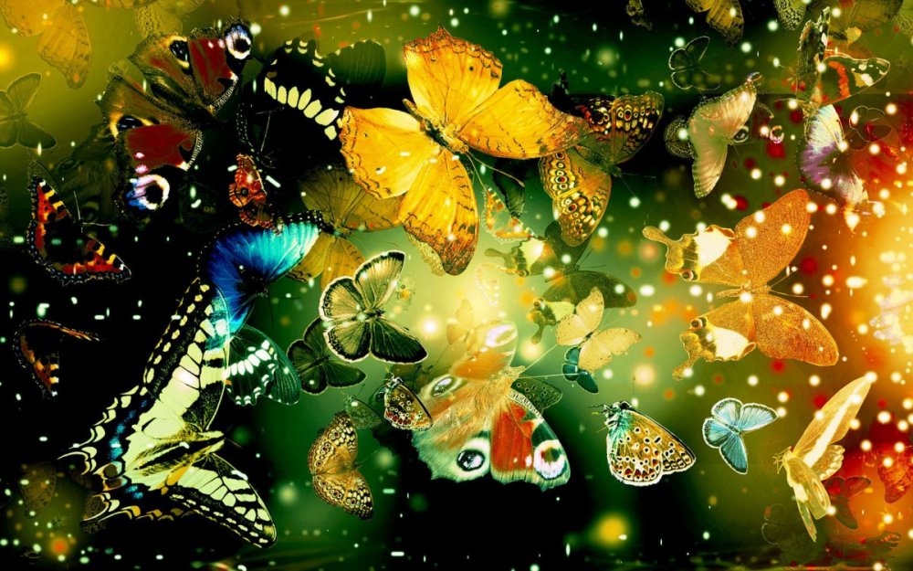 Бабочки ярких расцветок