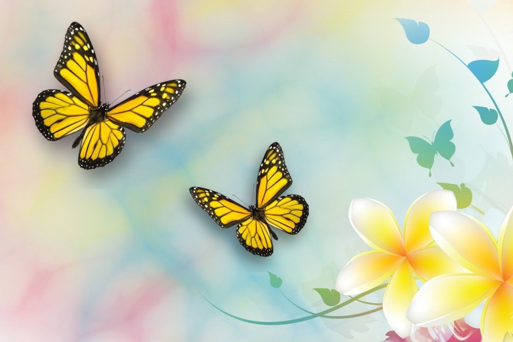 Разноцветные цветы и бабочки