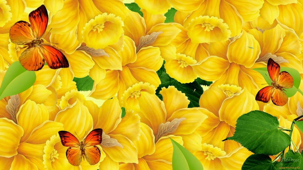 Фон с бабочками и цветами