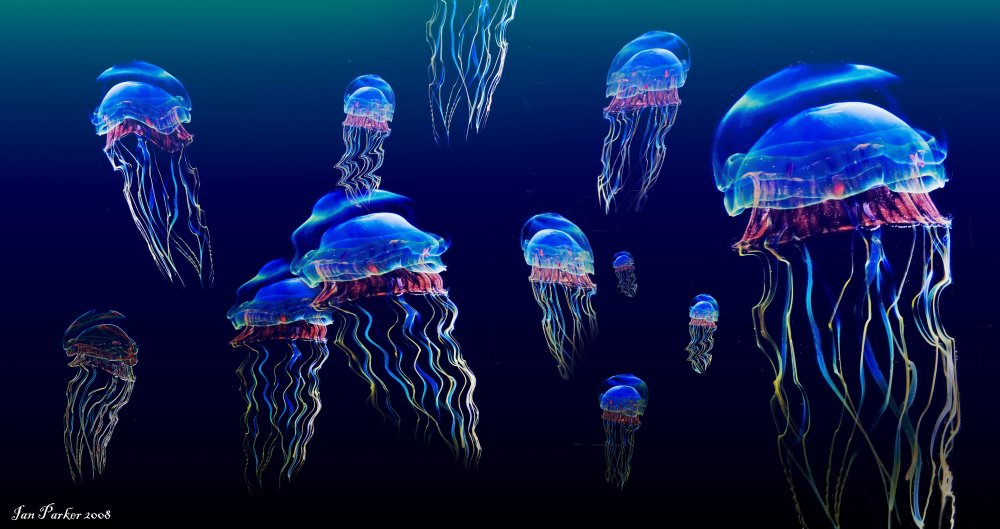 Электро медуза