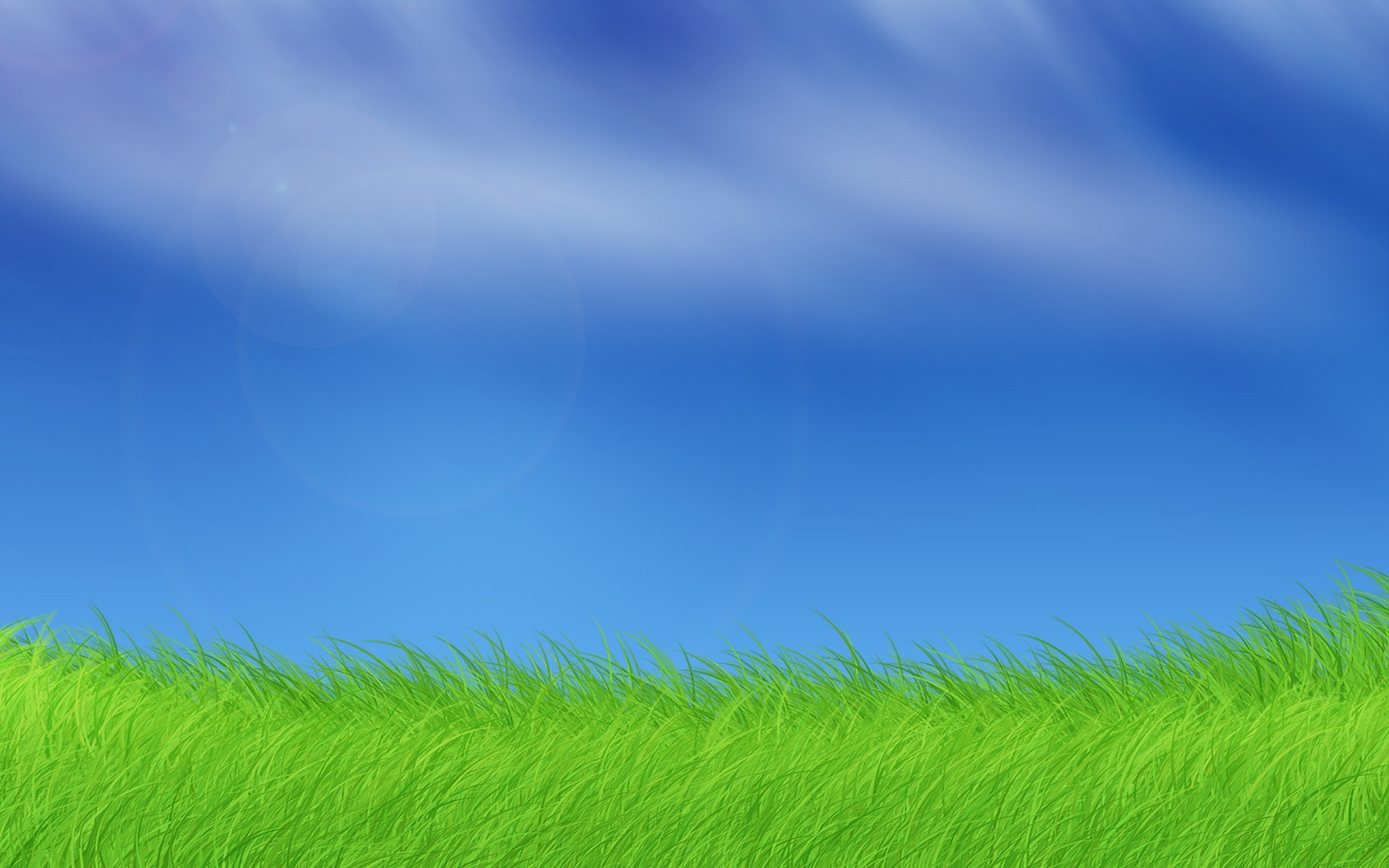 Песня голубое небо зеленая трава. Трава и небо. Фон трава и небо. Голубое небо зеленая трава. Зеленая трава фон.