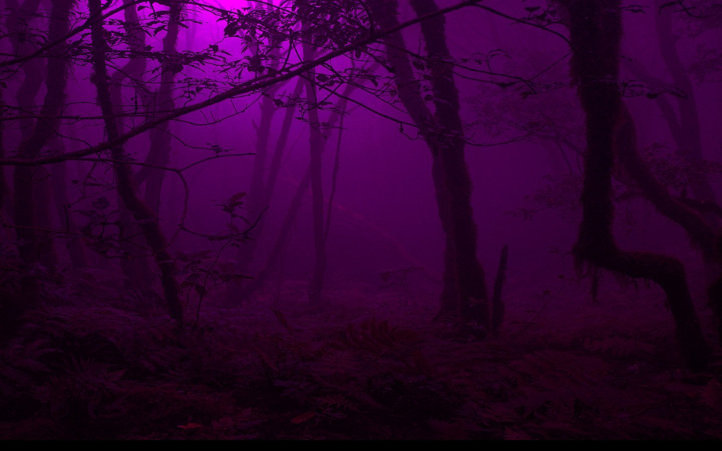 1ч фонка. Мрачный лес. Темный лес. «Ночь в лесу». Мрачный фон.