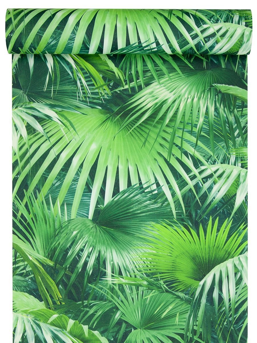 Тропические пальмовые листья
