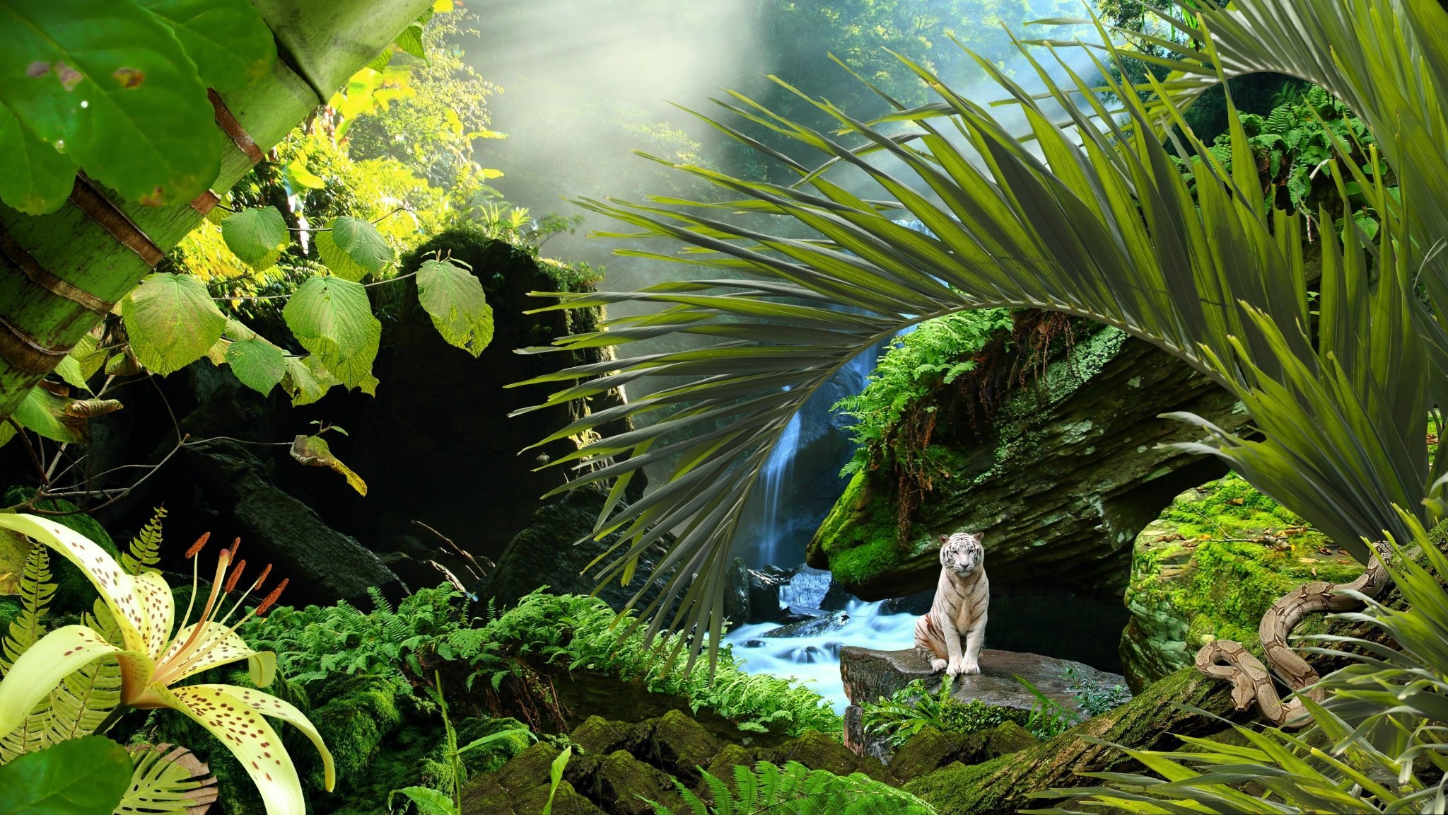 Джангл фото. Джунгли Лопакал Геншин. Тропический лес. Тропические растения. Природа джунгли.