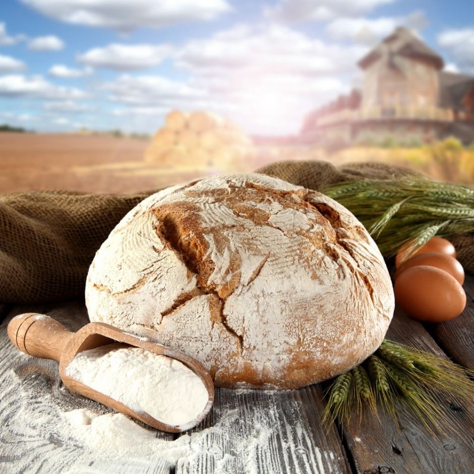 Хлеб на природе