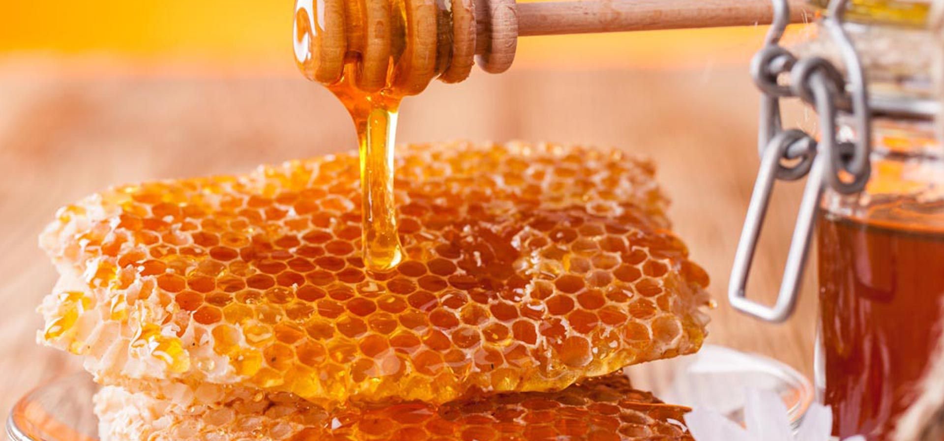 Бешеный мед. Соты меда. Мёд натуральный. Красивый мед. Пчелиный мёд.