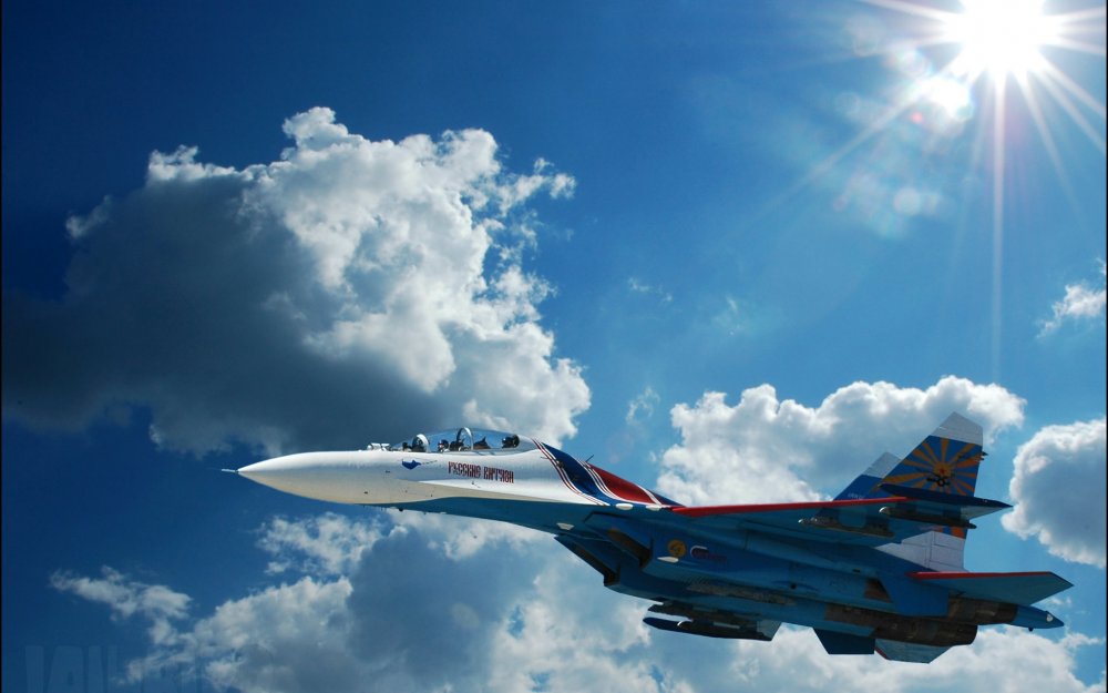 Самолет истребитель Су-27 русский Витязь