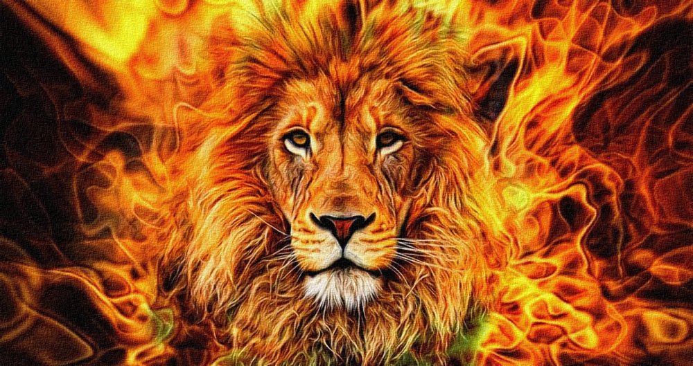 Огненный Лев Огненный Джинн